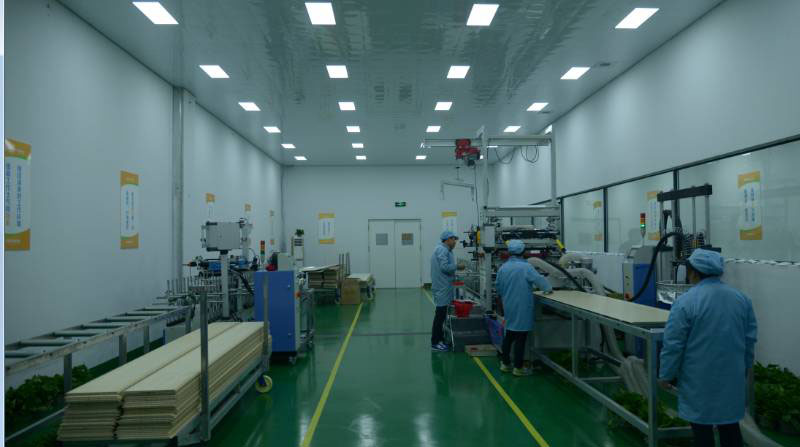 深度解析 星雅图顶墙集成的八大核心技术特色